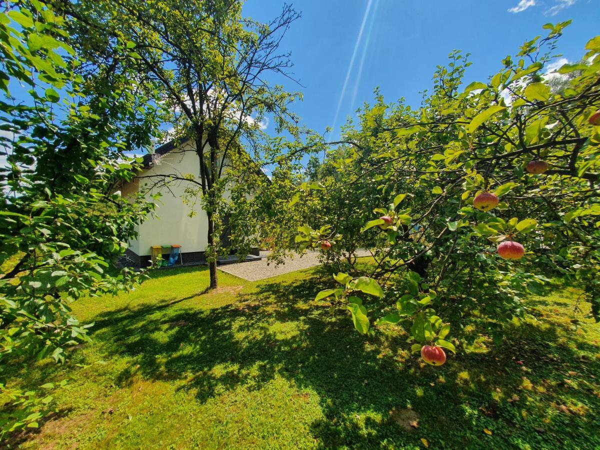 Villa Tetmajera View&Garden Dębica Exterior foto